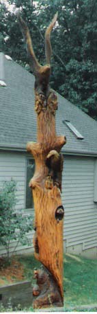 Eagle on Tree